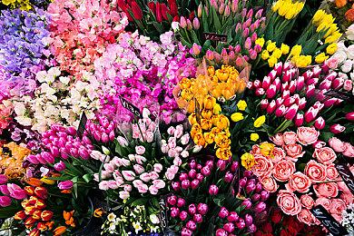 《F1 2022》PS5和XSX目标4K60帧 跨平台联机后续更新添加